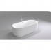 Акриловая ванна Black&White Swan SB109, 170x80 см, белая